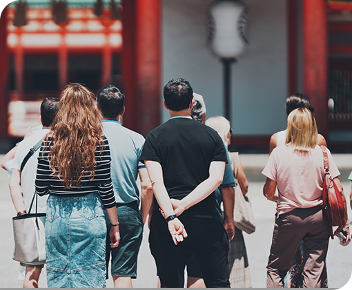 楽しみ方のご提案